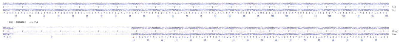 Next Generation Sequencing - Human GHSR knockout HCT116 cell line (AB300967), expandable thumbnail
