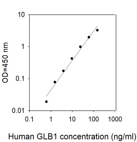 Sandwich ELISA - Human GLB1/Beta-galactosidase ELISA Kit (AB309424), expandable thumbnail