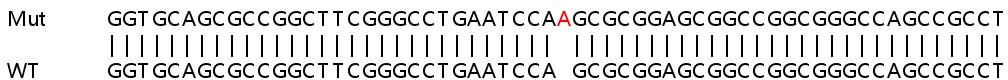 Sanger Sequencing - Human GLI4 knockout HCT116 cell line (AB266857), expandable thumbnail