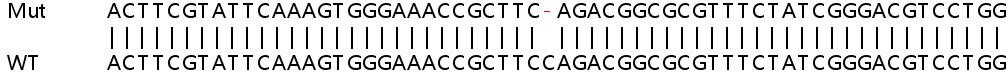 Sanger Sequencing - Human GLOD4 knockout HeLa cell lysate (AB263218), expandable thumbnail