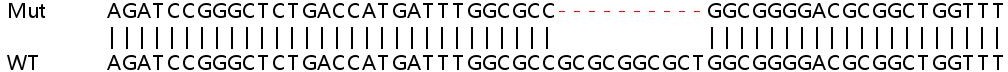 Sanger Sequencing - Human GLRX2 (GRX2) knockout HeLa cell lysate (AB258434), expandable thumbnail
