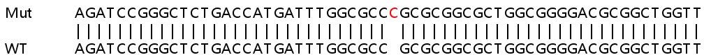 Sanger Sequencing - Human GLRX2 (GRX2) knockout HeLa cell lysate (AB258434), expandable thumbnail