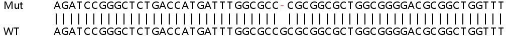 Sanger Sequencing - Human GLRX2 (GRX2) knockout HeLa cell lysate (AB258434), expandable thumbnail