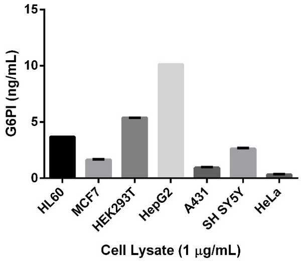 Sandwich ELISA - Human Glucose-6-Phosphate Isomerase ELISA Kit (AB171575)