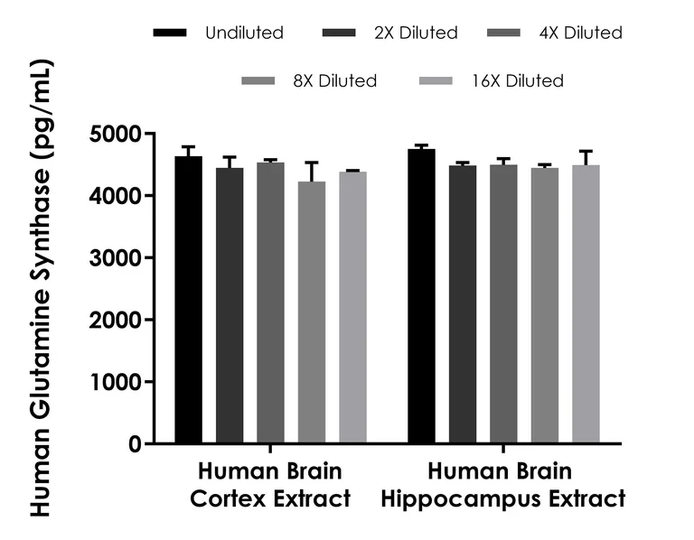 Sandwich ELISA - Human Glutamine Synthetase ELISA Kit (AB288927)