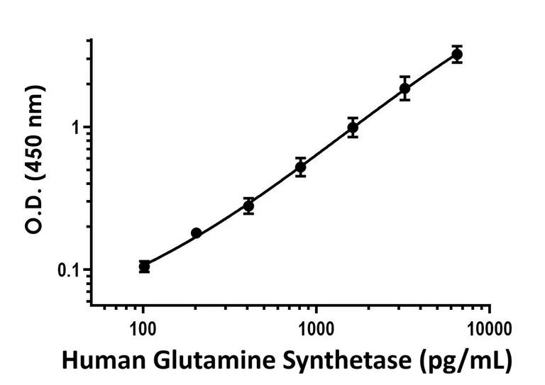 Sandwich ELISA - Human Glutamine Synthetase ELISA Kit (AB288927)