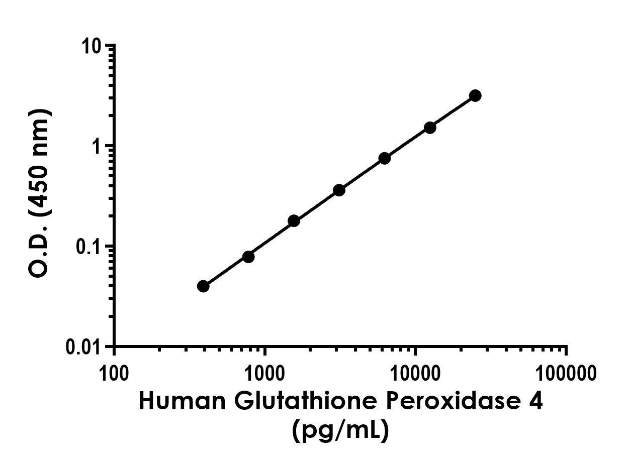 Sandwich ELISA - Human Glutathione Peroxidase 4 ELISA Kit (AB304936), expandable thumbnail