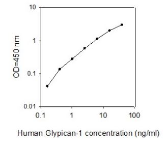 Sandwich ELISA - Human Glypican 1 ELISA Kit (AB267650)