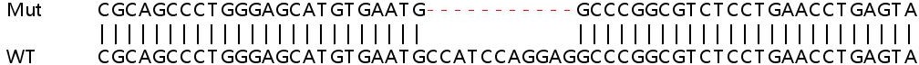 Sanger Sequencing - Human GMCSF knockout HEK-293T cell lysate (AB263219)