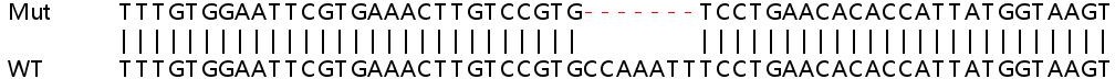 Sanger Sequencing - Human GMPR (GMPR1) knockout A549 cell line (AB267104), expandable thumbnail
