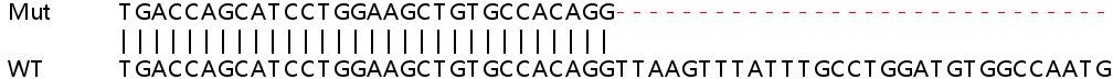 Sanger Sequencing - Human GMPR (GMPR1) knockout A549 cell lysate (AB258435), expandable thumbnail