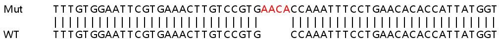 Sanger Sequencing - Human GMPR (GMPR1) knockout A549 cell lysate (AB258436)