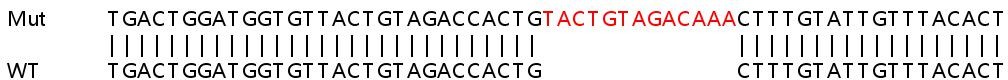 Sanger Sequencing - Human GNAI1 knockout HEK-293T cell line (AB266611)