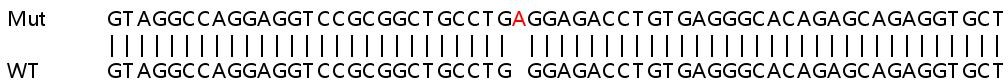 Human GNG4 knockout HEK-293T cell lysate