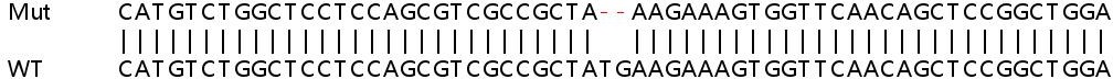 Sanger Sequencing - Human GNG5 knockout HEK-293T cell line (AB266291)