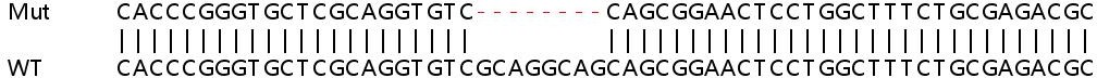 Sanger Sequencing - Human GNG8 (Gamma-9) knockout HEK-293T cell line (AB266108)