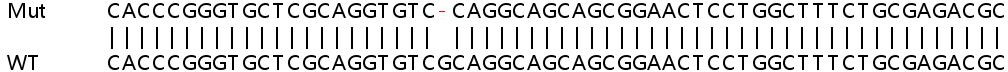 Human GNG8 (Gamma-9) knockout HEK-293T cell lysate