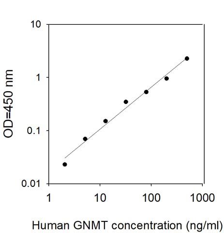 Sandwich ELISA - Human GNMT ELISA Kit (AB313966), expandable thumbnail