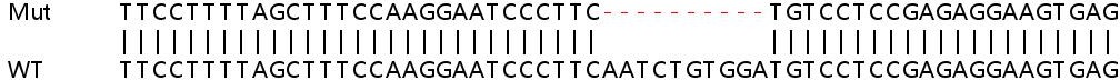 Human GNPAT (DAPAT) knockout HeLa cell lysate