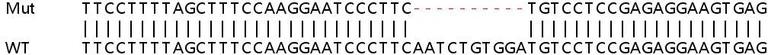 Sanger Sequencing - Human GNPAT (DAPAT) knockout HeLa cell lysate (AB258886)