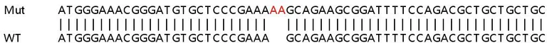 Sanger Sequencing - Human GOLIM4 (GOLPH4/GPP130) knockout HEK-293T cell line (AB266123)