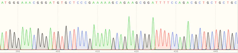 Sanger Sequencing - Human GOLIM4 (GOLPH4/GPP130) knockout HEK-293T cell line (AB266123)