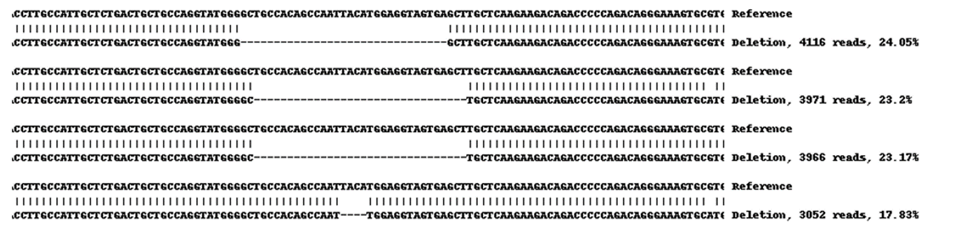 Next Generation Sequencing - Human GPD2 knockout A-431 cell line (AB269618), expandable thumbnail