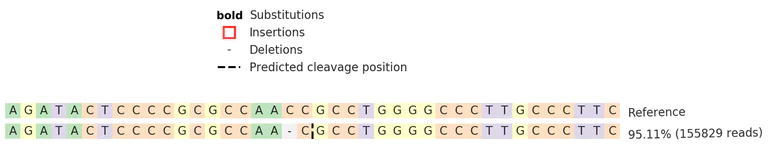 Next Generation Sequencing - Human GPR137 knockout U-2 OS cell line (AB277179)