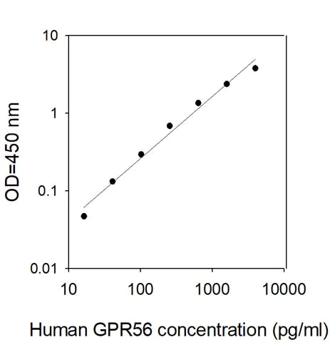 Sandwich ELISA - Human GPR56 ELISA Kit (AB309418)
