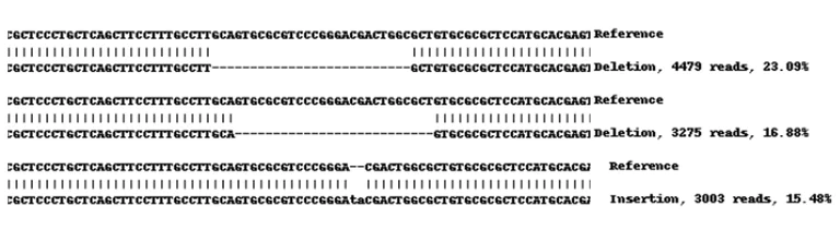 Next Generation Sequencing - Human GPX4 knockout HeLa cell line (AB262509)