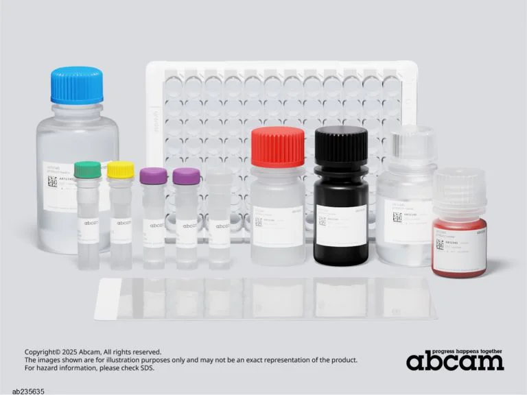 Sandwich ELISA - Human Granzyme B ELISA Kit (AB235635)