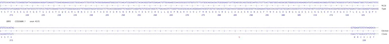 Next Generation Sequencing - Human GRM3 knockout U-87 MG cell line (AB306690)