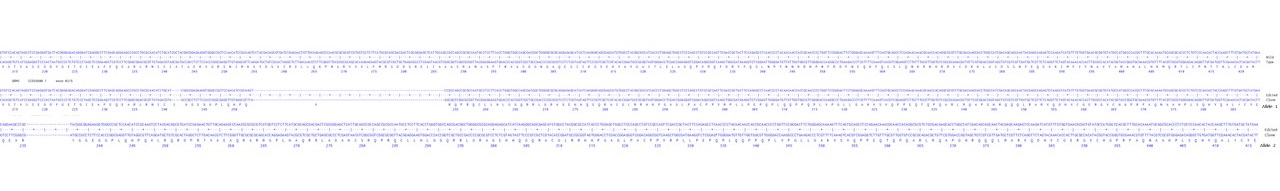 Next Generation Sequencing - Human GRM3 knockout U-87 MG cell line (AB306690), expandable thumbnail