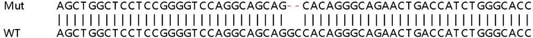 Sanger Sequencing - Human GRN (Granulin) knockout HEK-293T cell lysate (AB257235)