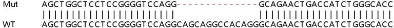 Sanger Sequencing - Human GRN (Granulin) knockout HEK-293T cell lysate (AB257235)