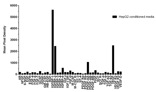 Multiplex Protein Detection - Human Growth Factor Antibody Array - Membrane (41 Targets) (AB134002)