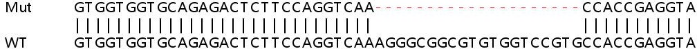 Sanger Sequencing - Human GSN (Gelsolin) knockout HeLa cell lysate (AB257204), expandable thumbnail