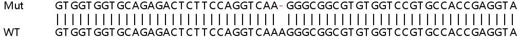 Sanger Sequencing - Human GSN (Gelsolin) knockout HeLa cell lysate (AB257204), expandable thumbnail