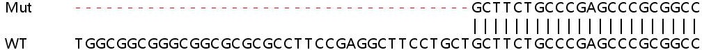 Sanger Sequencing - Human GSR (Glutathione Reductase) knockout HEK-293T cell line (AB266101), expandable thumbnail