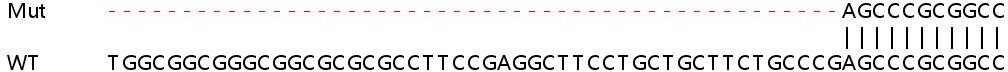 Sanger Sequencing - Human GSR (Glutathione Reductase) knockout HEK-293T cell line (AB266101), expandable thumbnail