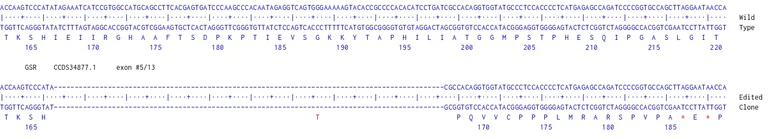 Next Generation Sequencing - Human GSR knockout HCT116 cell line (AB287457)