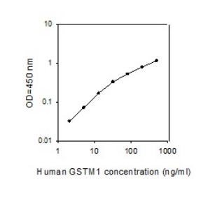 ELISA - Human GSTM1 ELISA Kit (AB277475), expandable thumbnail
