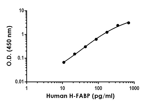 Sandwich ELISA - Human H-FABP ELISA Kit (AB243682)