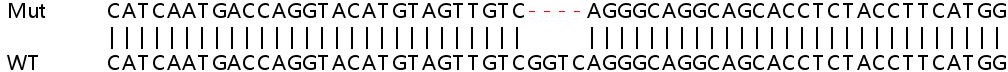 Sanger Sequencing - Human HAGH (GLO2) knockout HeLa cell line (AB265912), expandable thumbnail