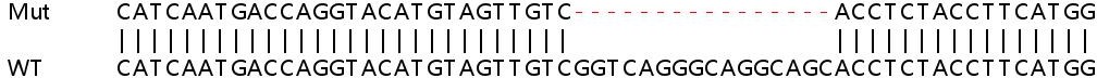 Sanger Sequencing - Human HAGH (GLO2) knockout HeLa cell line (AB265912), expandable thumbnail