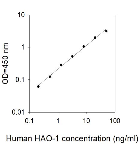 Sandwich ELISA - Human HAO1/GOX ELISA Kit (AB309417)