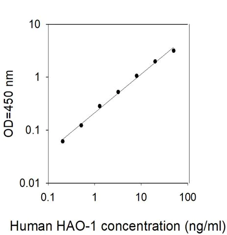 Sandwich ELISA - Human HAO1/GOX ELISA Kit (AB309417)