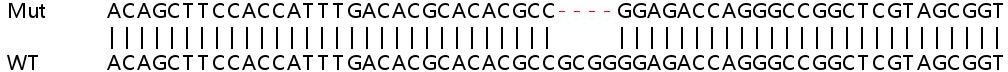 Sanger Sequencing - Human HAPLN3 knockout A549 cell line (AB267058), expandable thumbnail