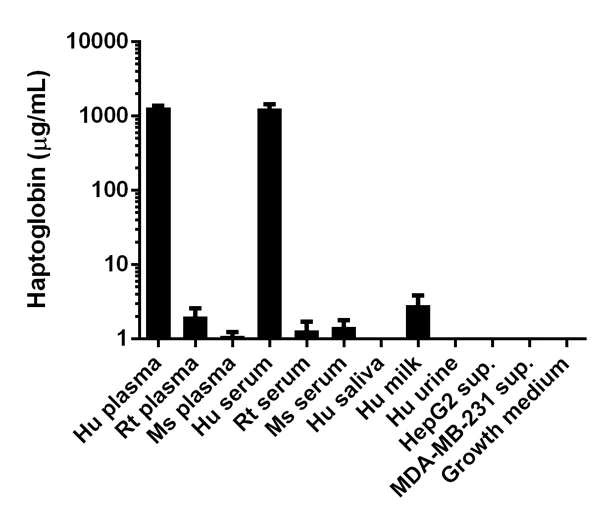 Competitive ELISA - Human Haptoglobin ELISA Kit (AB108856)