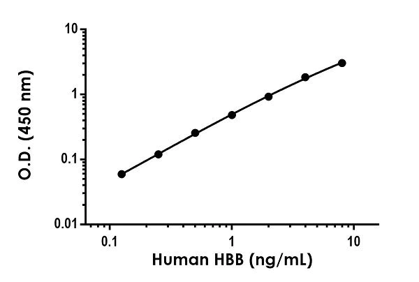 Sandwich ELISA - Human HBB ELISA Kit (AB235654)